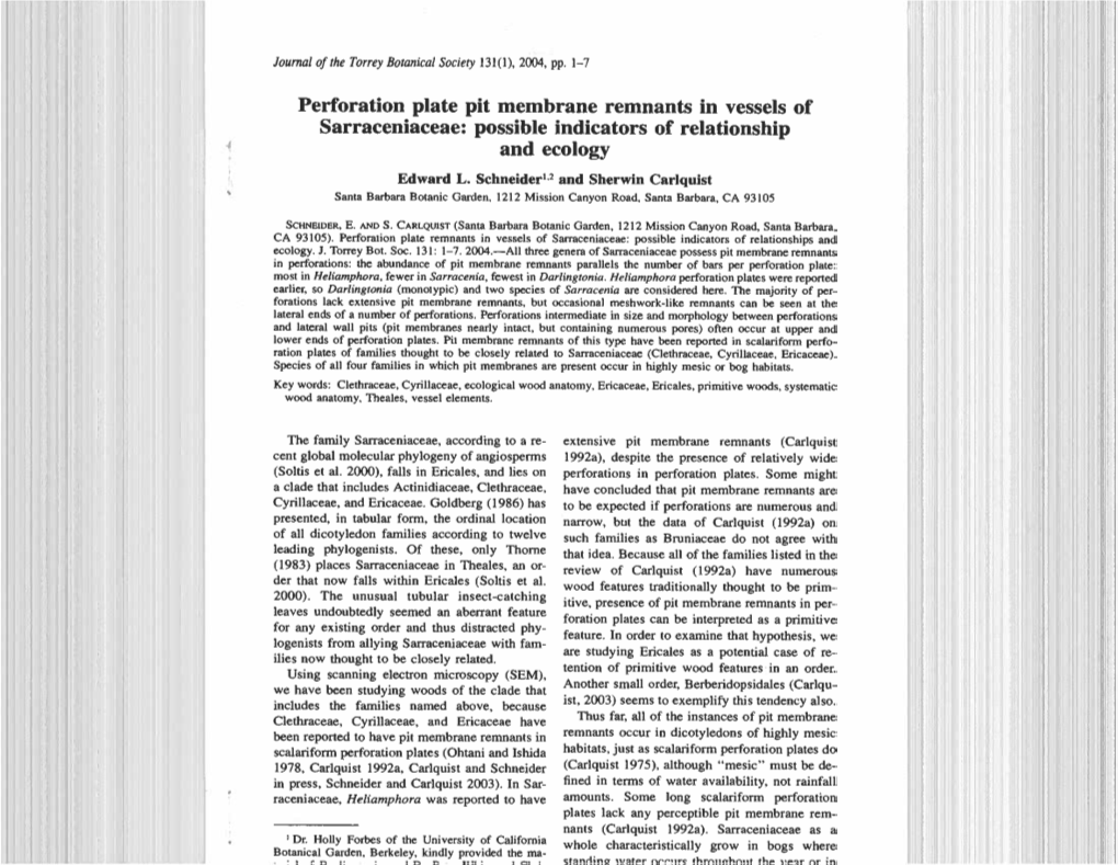 Perforation Plate Pit Membrane Remnants in Vessels of Sarraceniaceae: Possible Indicators of Relationship and Ecology