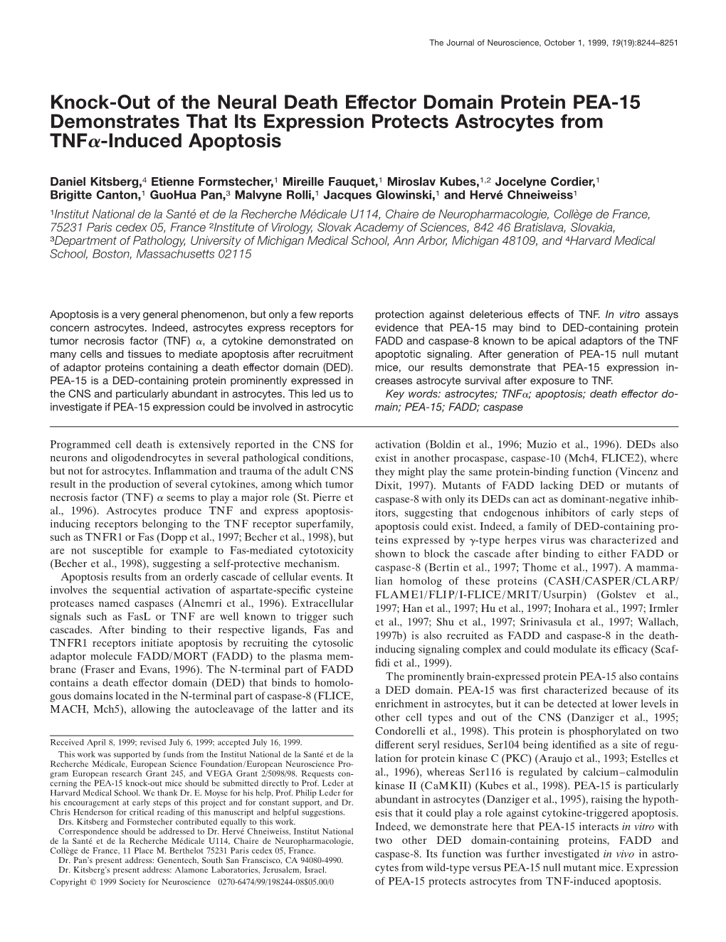 Knock-Out of the Neural Death Effector Domain Protein PEA-15 Demonstrates That Its Expression Protects Astrocytes from TNF␣-Induced Apoptosis