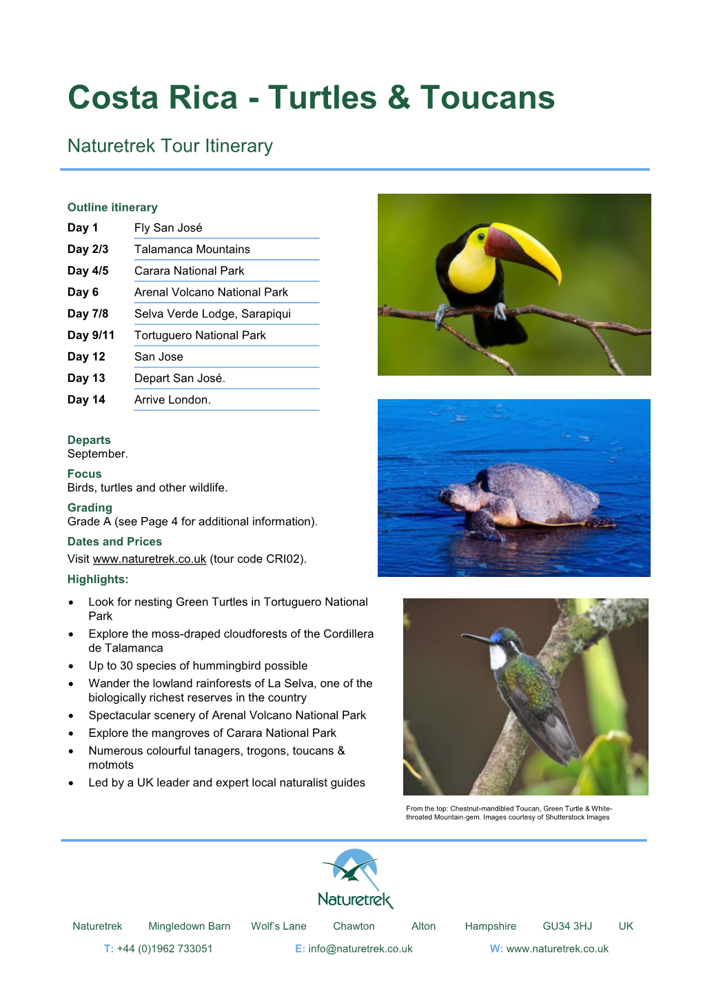 Costa Rica - Turtles & Toucans