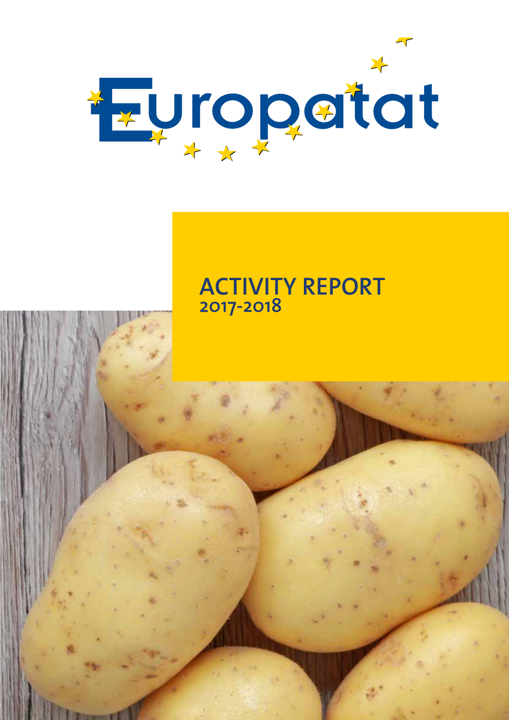 Activity Report 2017-2018