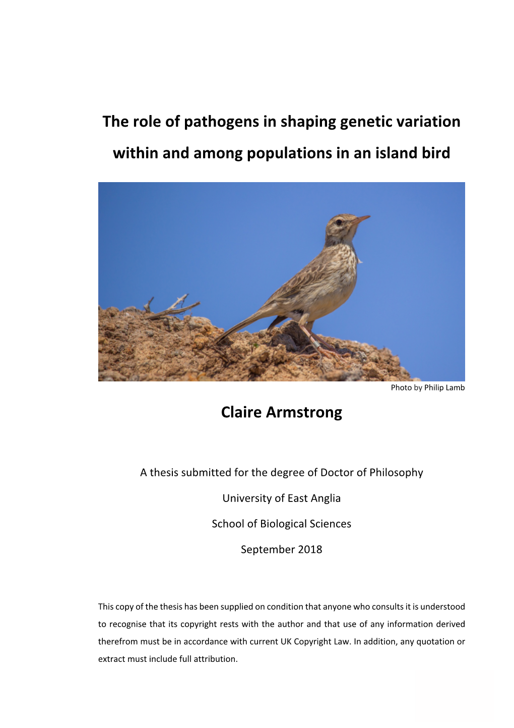 The Role of Pathogens in Shaping Genetic Variation Within and Among Populations in an Island Bird