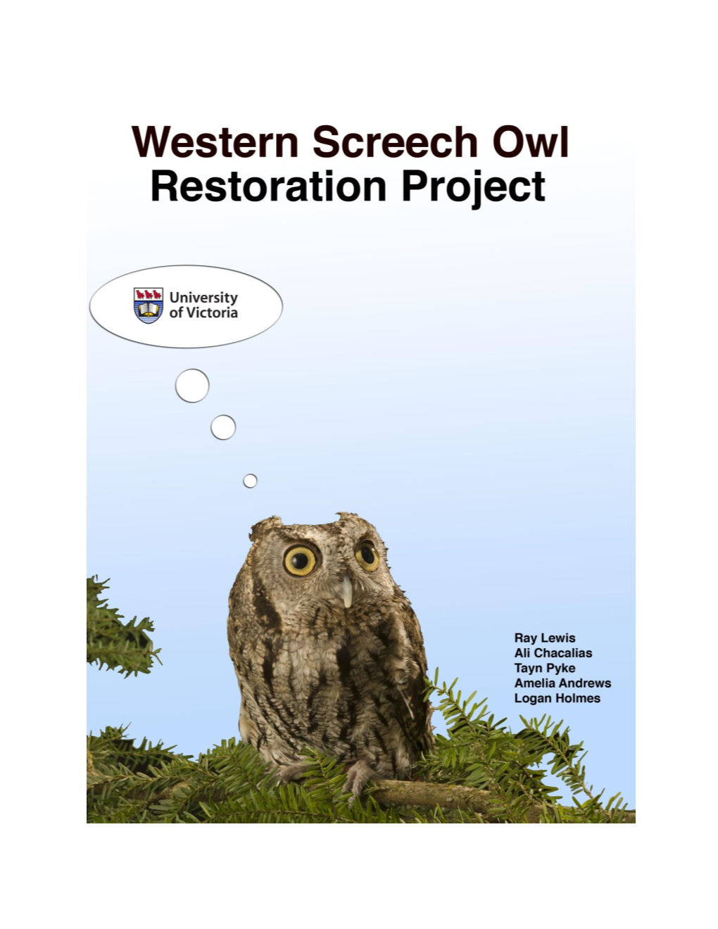 Western Screech Owl Fall 2012