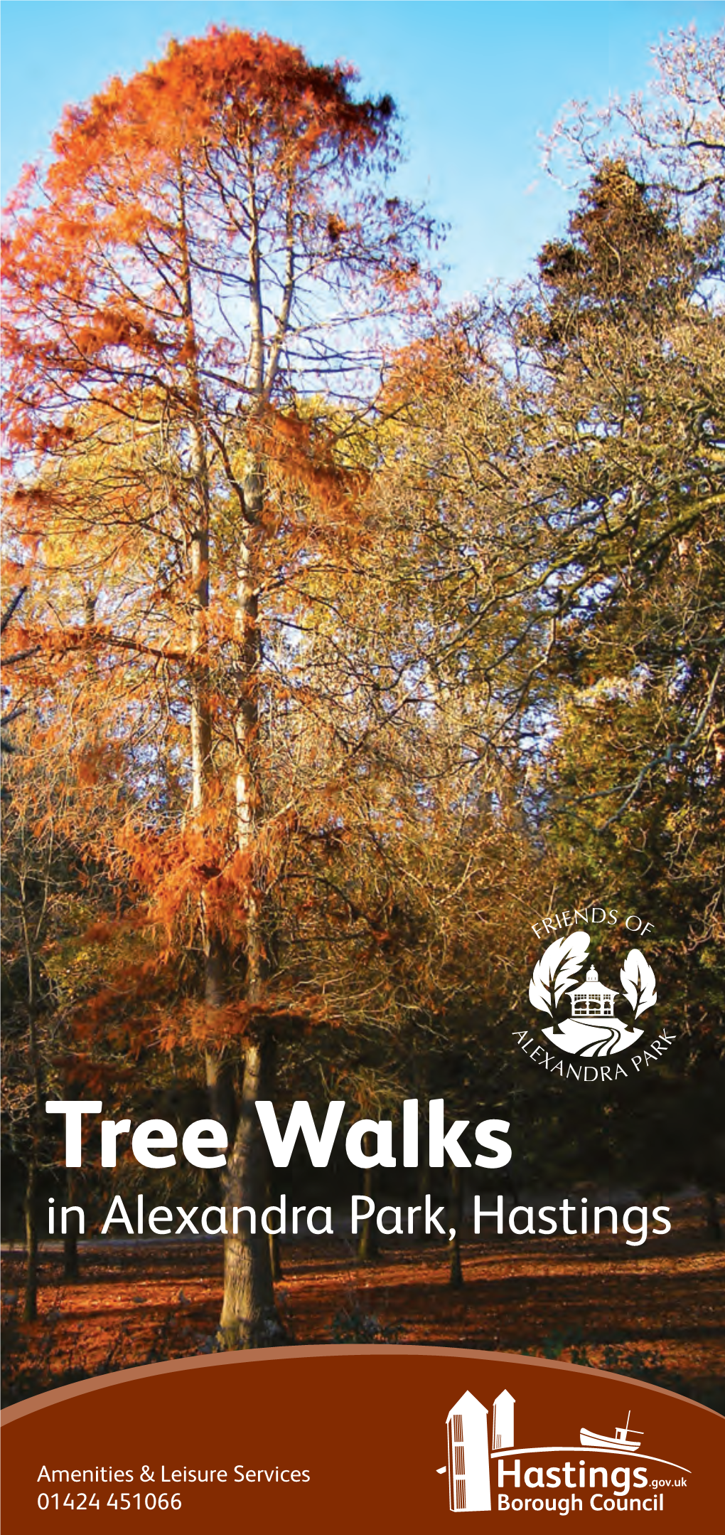 Tree Walk Leaflet
