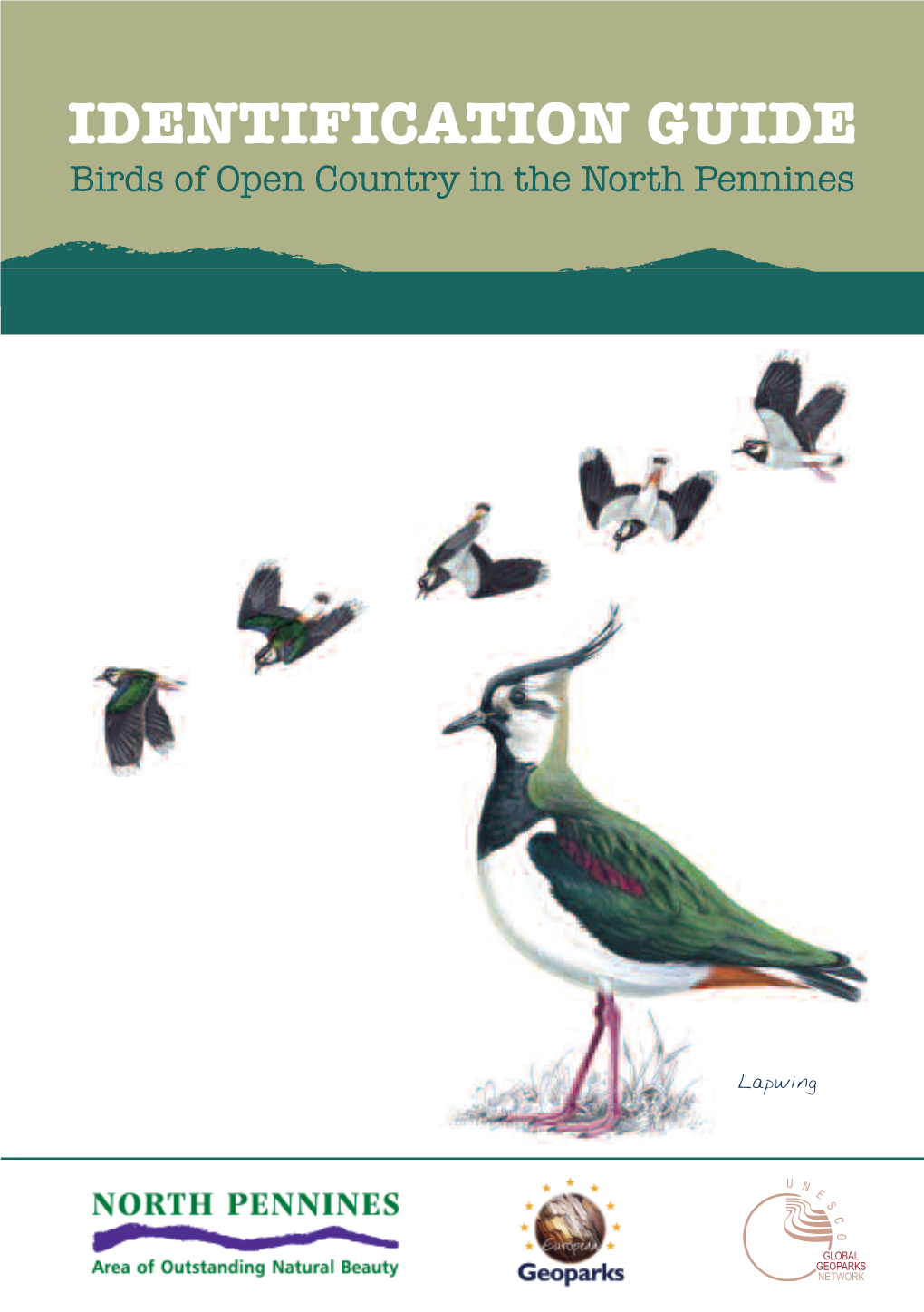 IDENTIFICATION GUIDE Birds of Open Country in the North Pennines