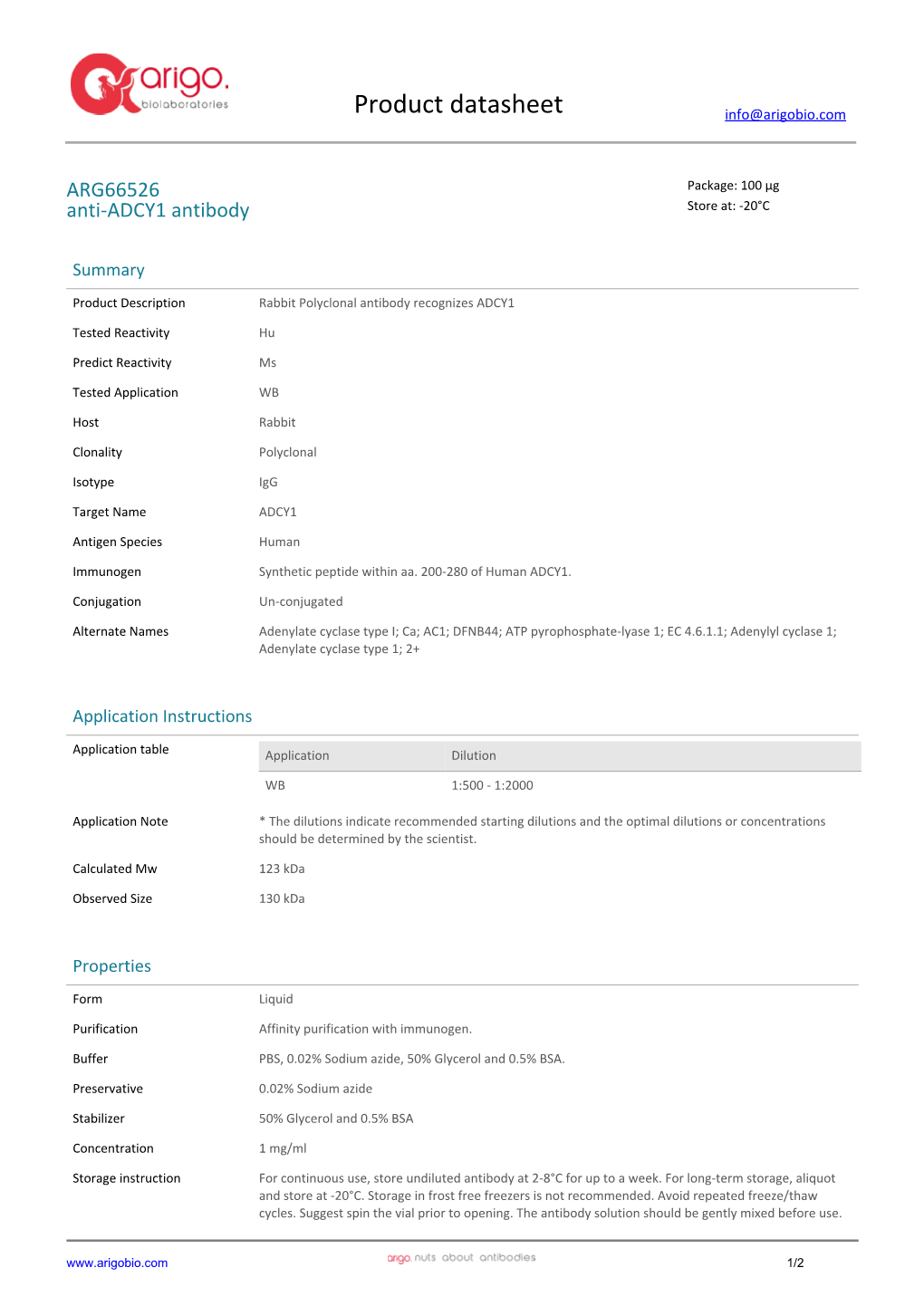 Anti-ADCY1 Antibody (ARG66526)