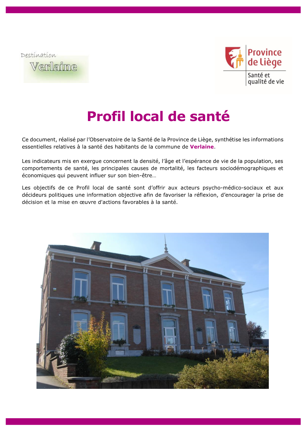 Profil Local De Santé