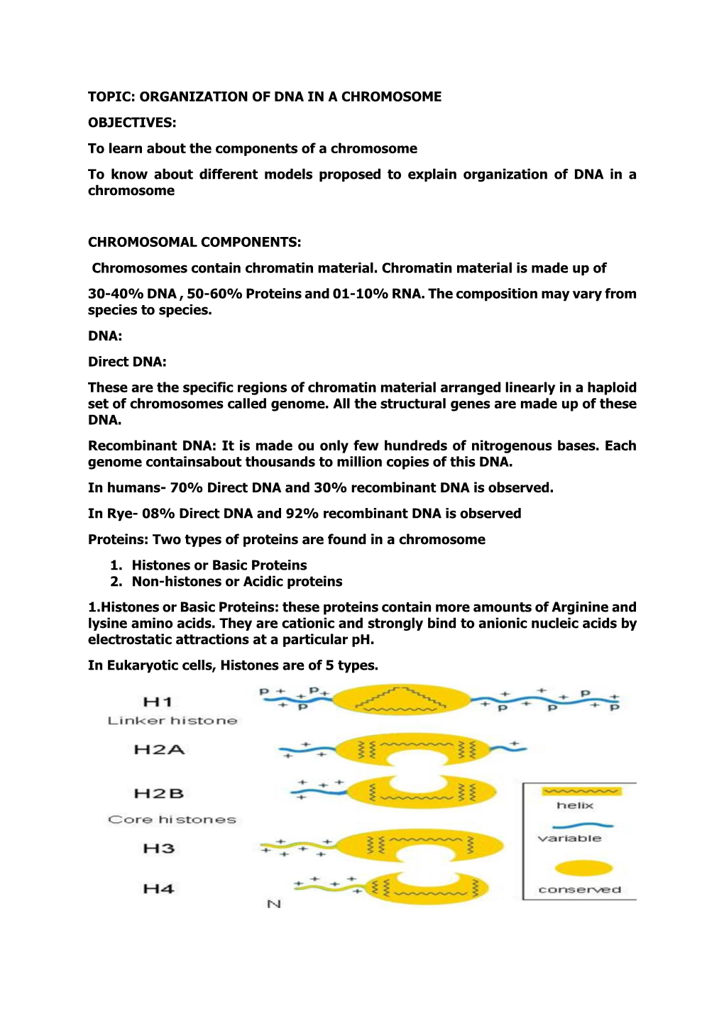 Organization of Dna in a Chromosome Objectives