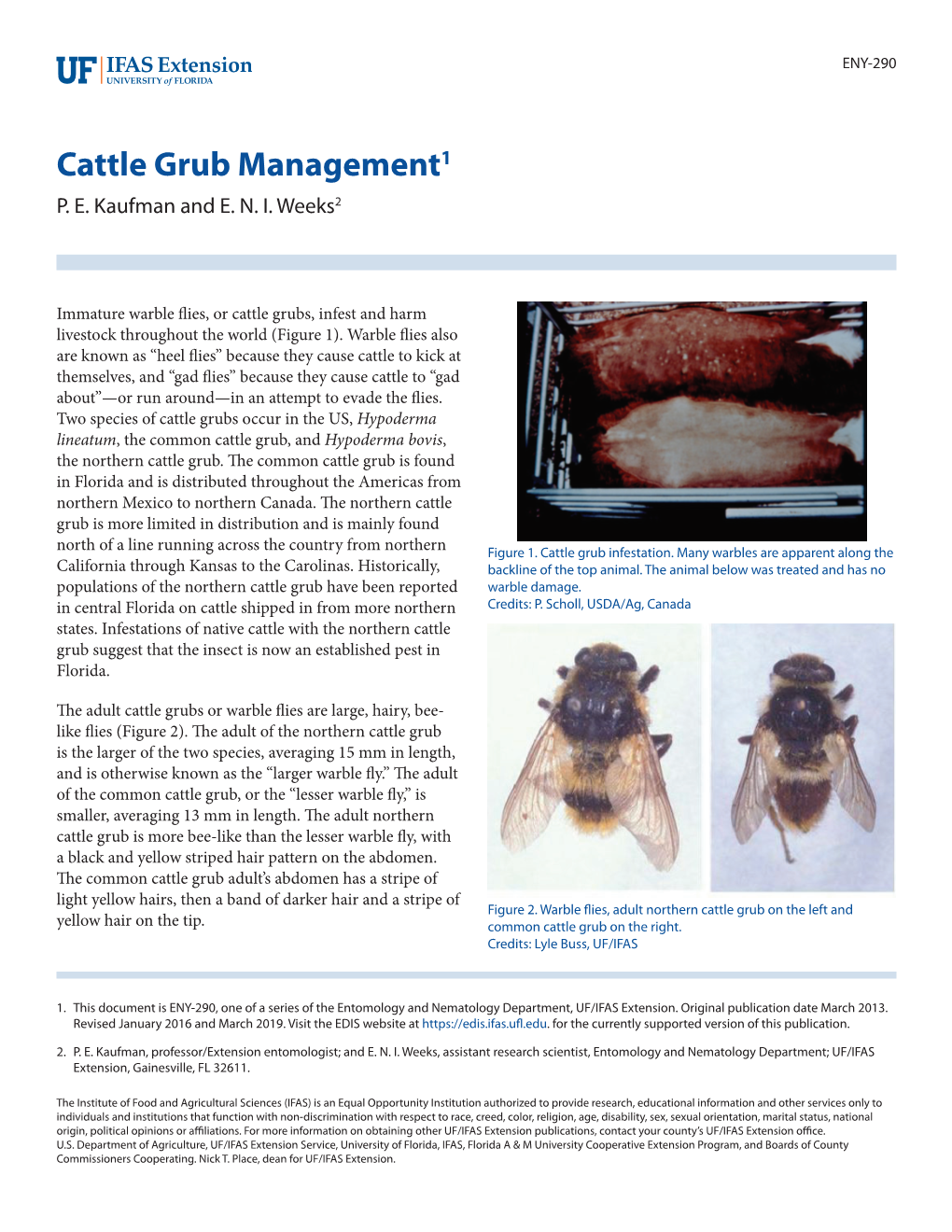 Cattle Grub Management1 P