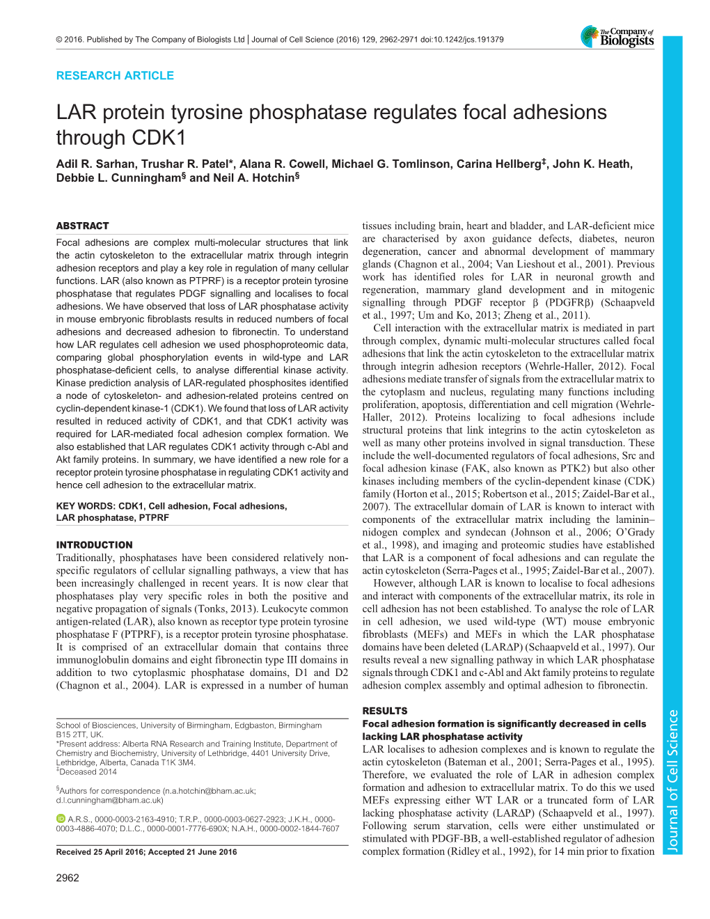 LAR Protein Tyrosine Phosphatase Regulates Focal Adhesions Through CDK1 Adil R