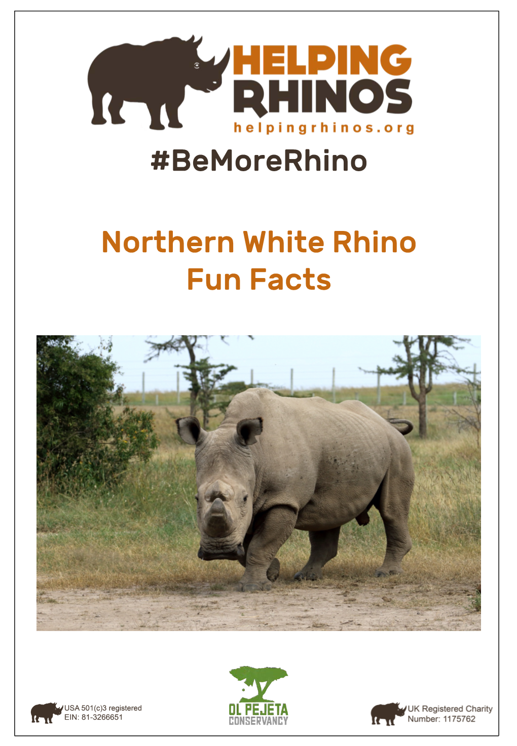 Northern White Rhino Fun Facts #Bemorerhino