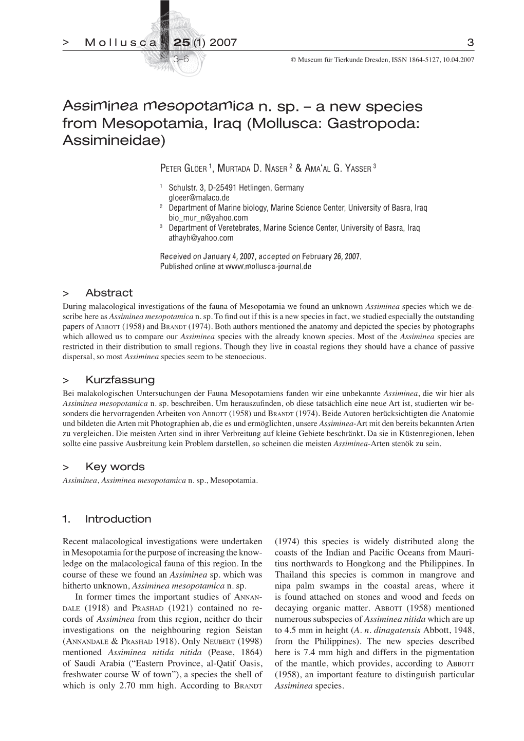 Assiminea Mesopotamica N