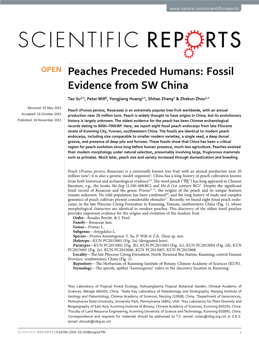 Peaches Preceded Humans: Fossil Evidence from SW China