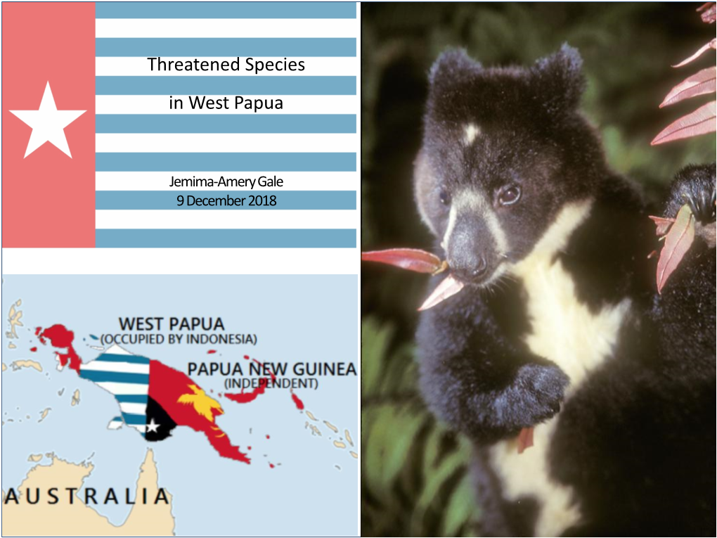 Endangered Species in West Papua