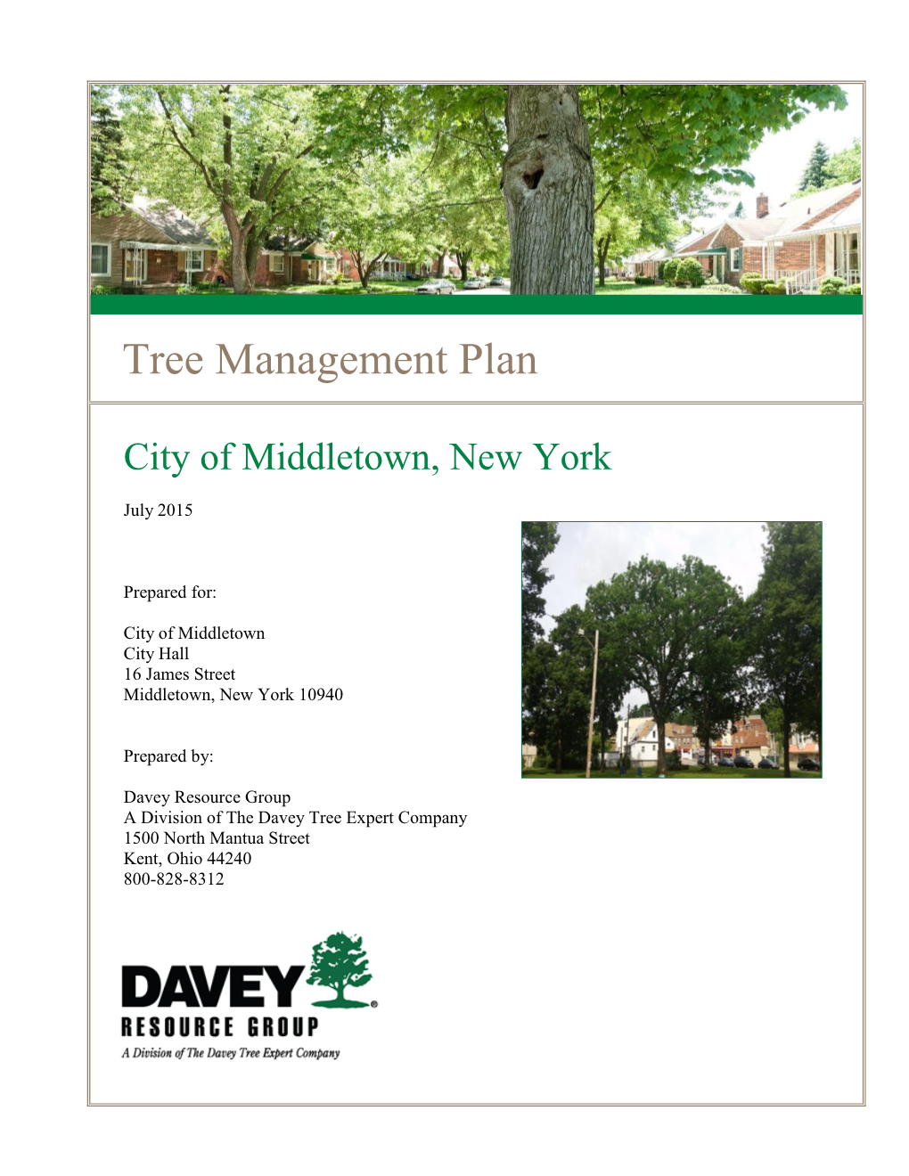 Tree Management Plan