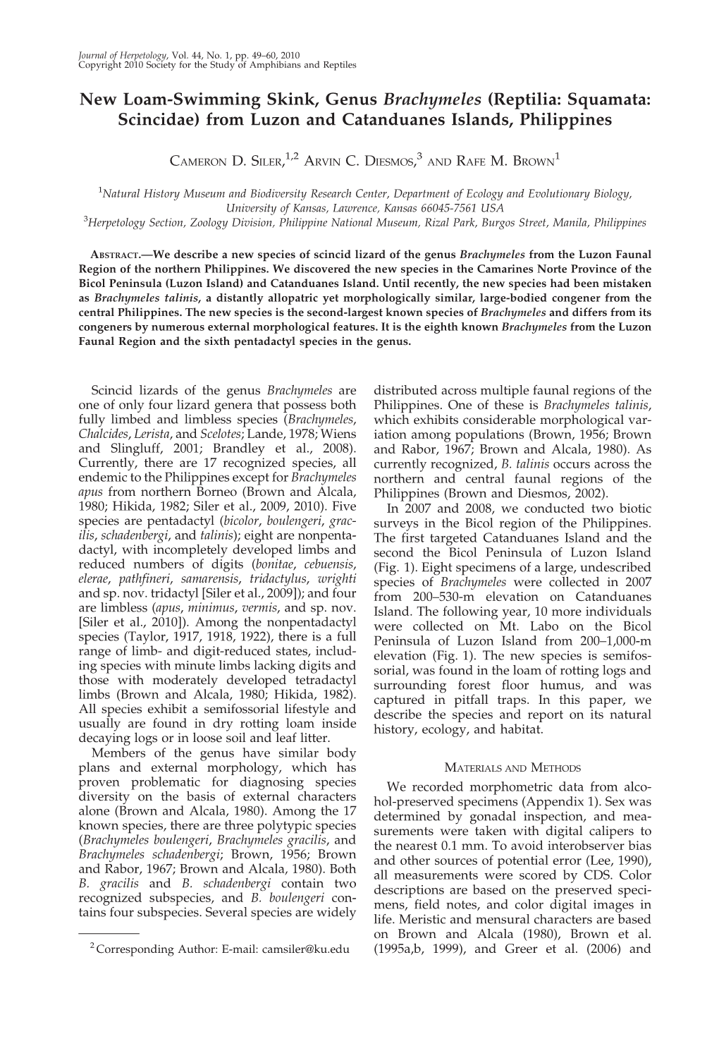 New Loam-Swimming Skink, Genus Brachymeles (Reptilia: Squamata: Scincidae) from Luzon and Catanduanes Islands, Philippines