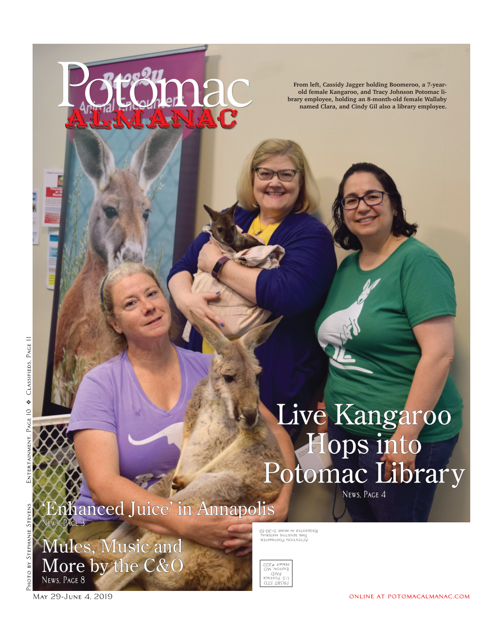 Live Kangaroo Hops Into Potomac Library Friends of the Library Potomac Chapter Sponsors Unusual Animal Encounter