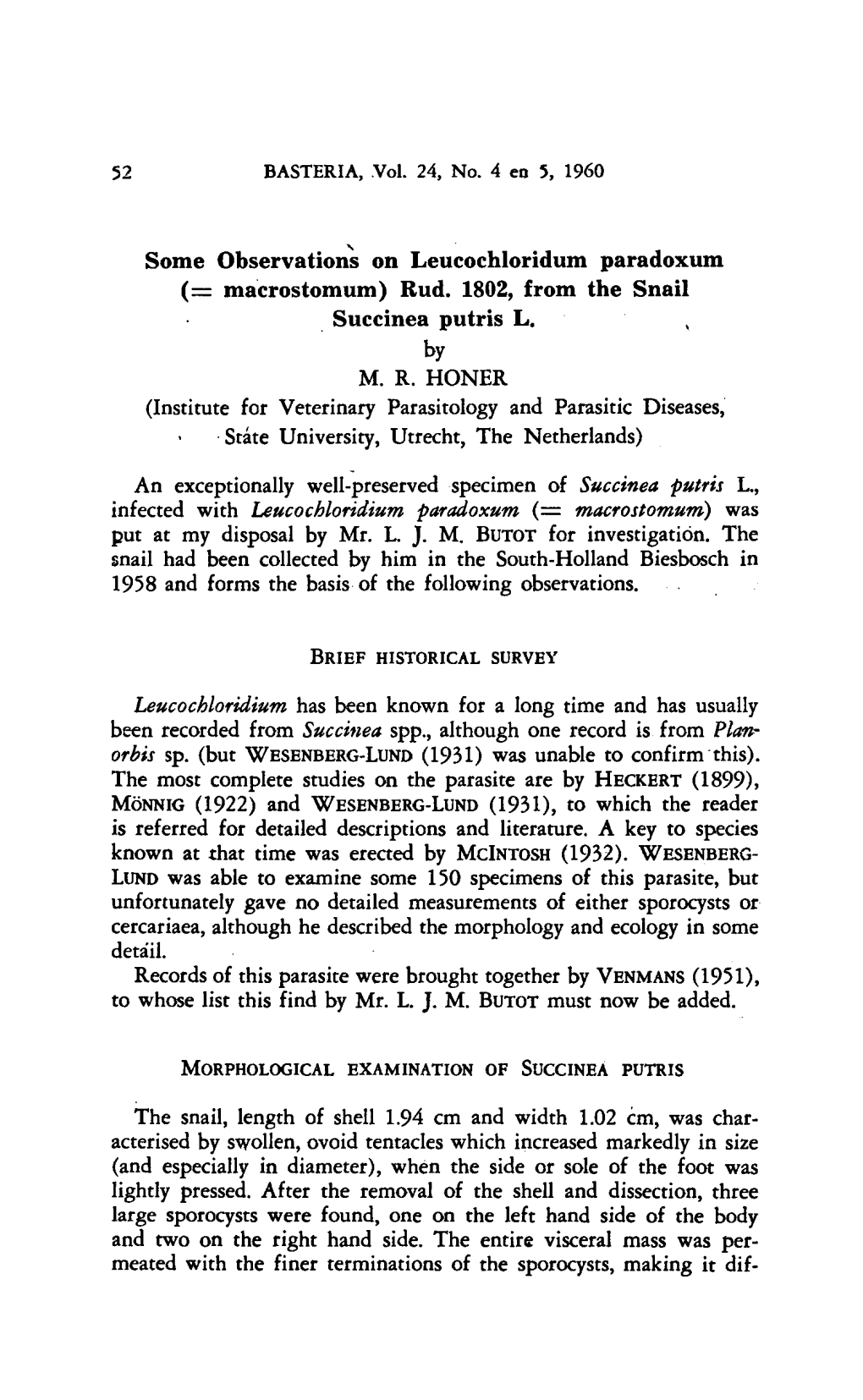 Paradoxum (= Macrostomum) Was for the Put at My Disposal by Mr