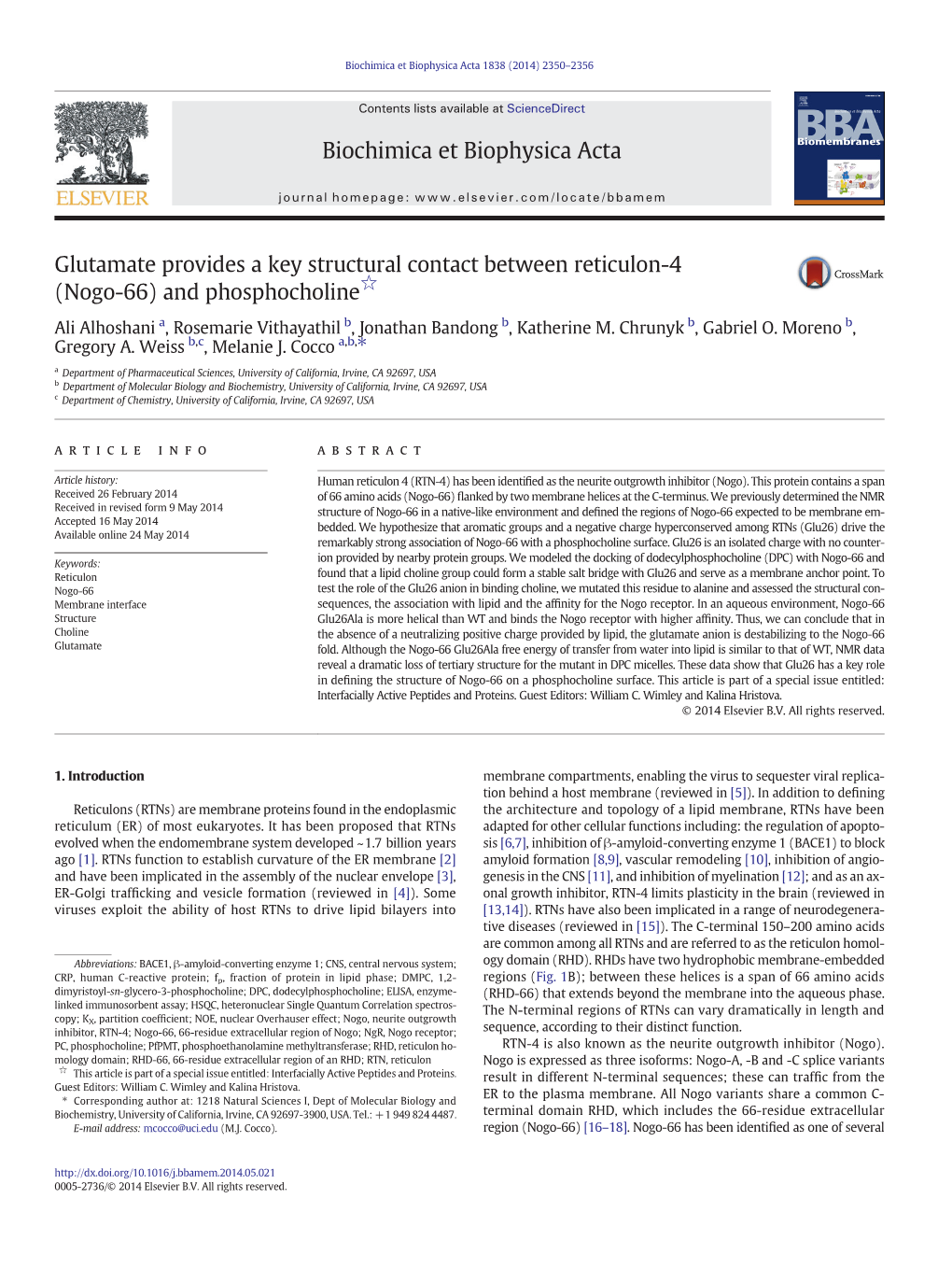 Glutamate Provides a Key Structural Contact Between