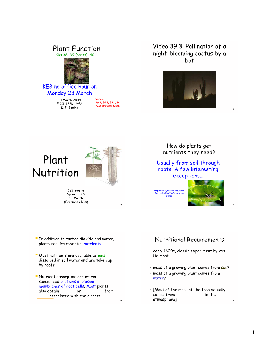 Plant Nutrition