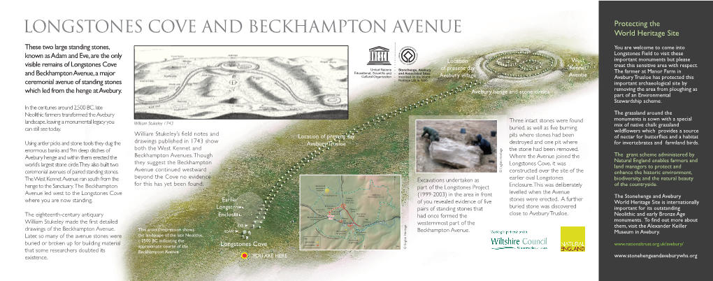 LONGSTONES COVE and BECKHAMPTON AVENUE Protecting the World Heritage Site