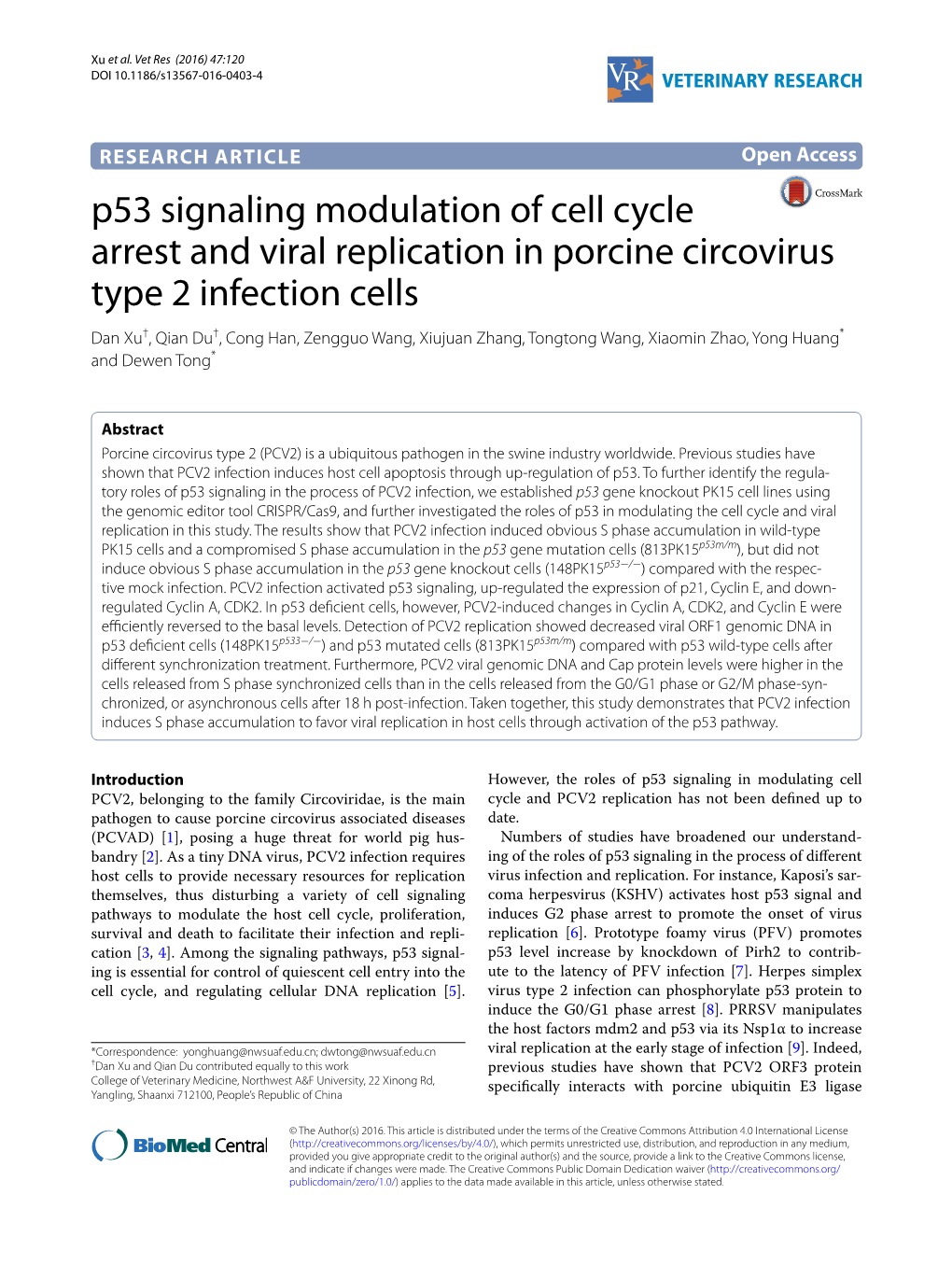 P53 Signaling Modulation of Cell Cycle Arrest and Viral Replication In