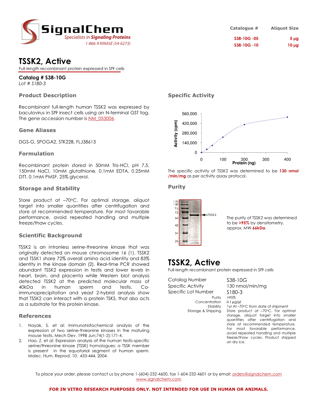 TSSK2, Active TSSK2, Active