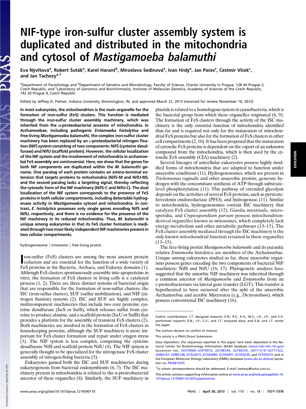 NIF-Type Iron-Sulfur Cluster Assembly System Is Duplicated and Distributed in the Mitochondria and Cytosol of Mastigamoeba Balamuthi