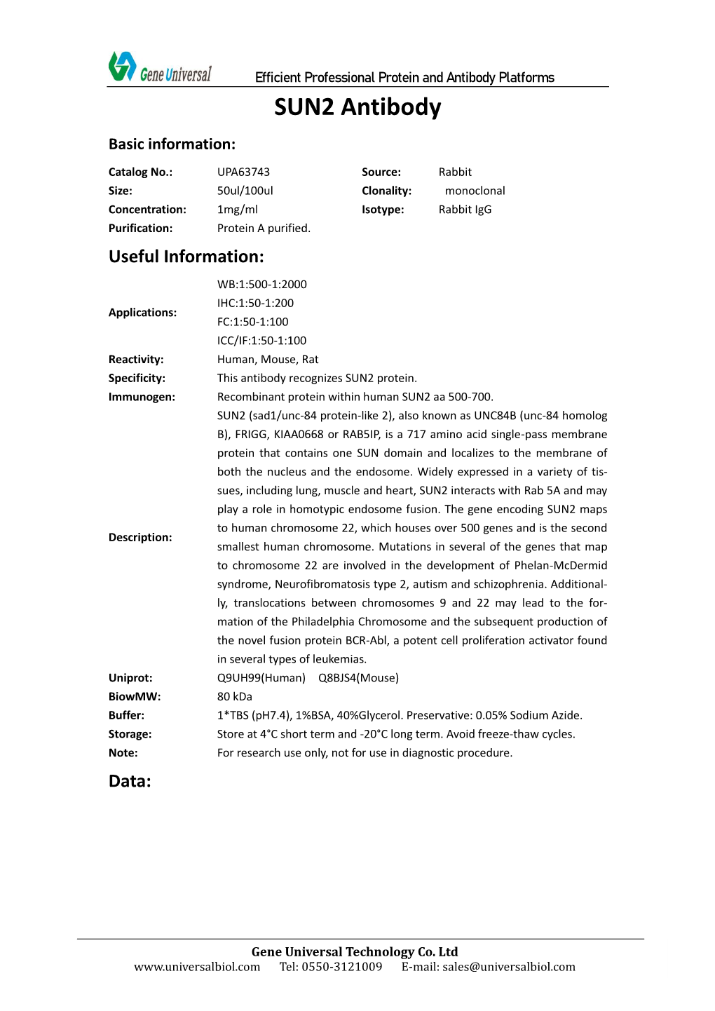 SUN2 Antibody