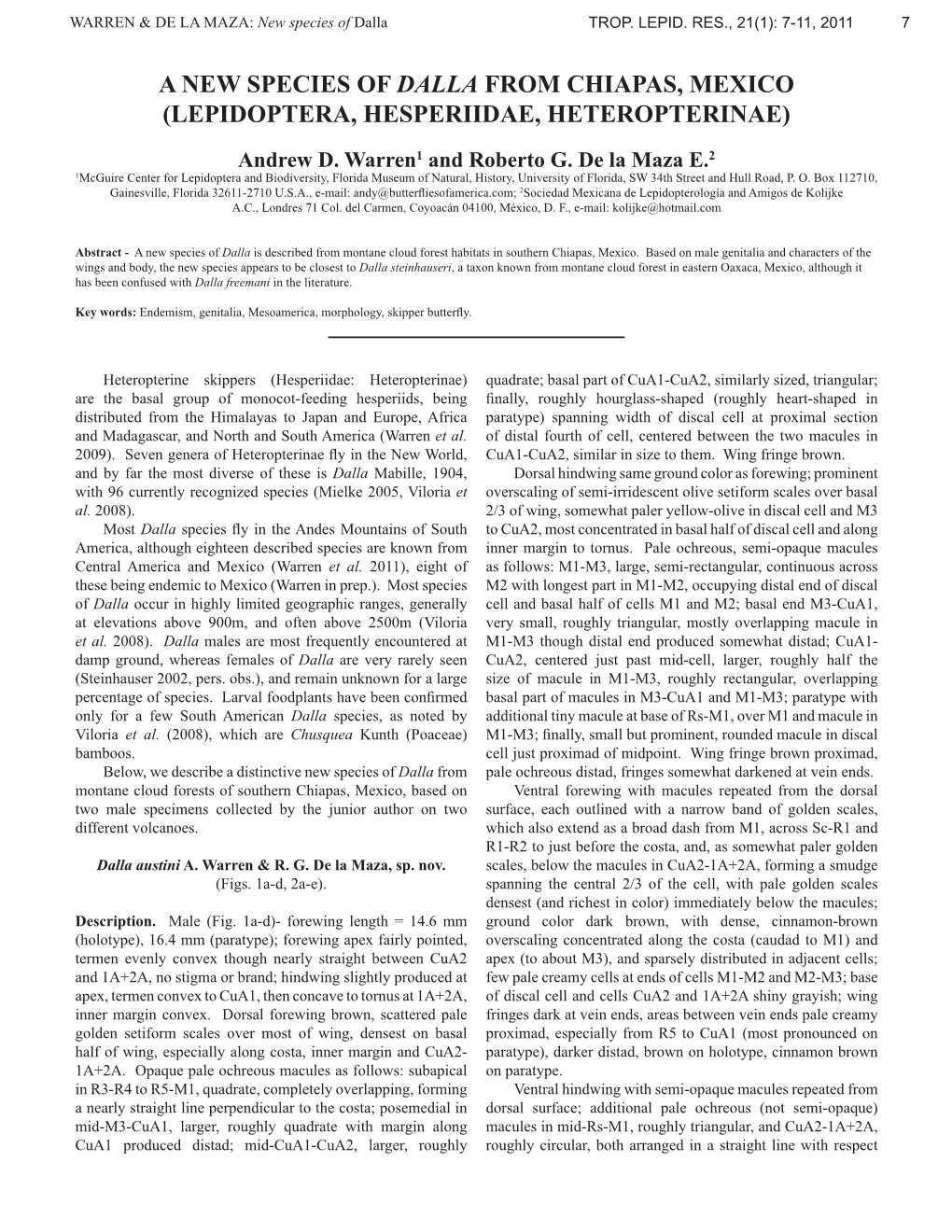 A New Species of Dalla from Chiapas, Mexico (Lepidoptera, Hesperiidae, Heteropterinae)