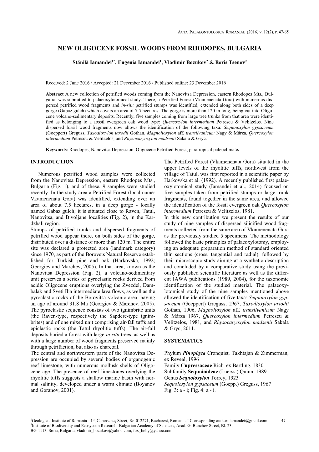 New Oligocene Fossil Woods from Rhodopes, Bulgaria