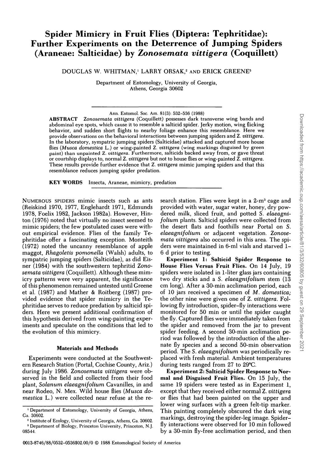 Spider Mimicry in Fruit Flies (Diptera: Tephritidae): Further Experiments