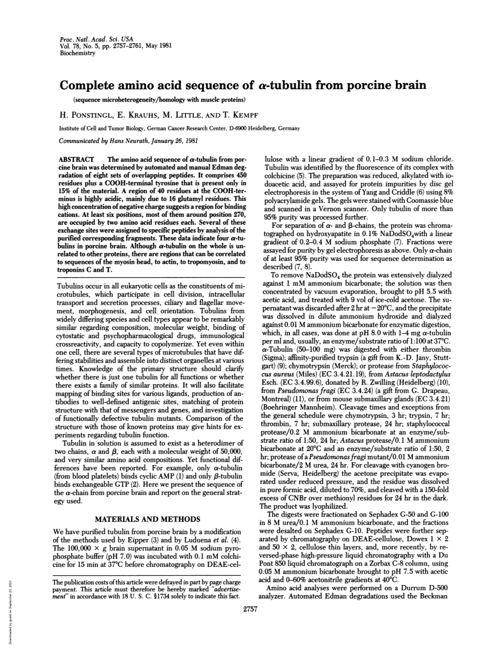 Complete Amino Acid Sequence of A-Tubulin from Porcine Brain (Sequence Microheterogeneity/Homology with Muscle Proteins) H