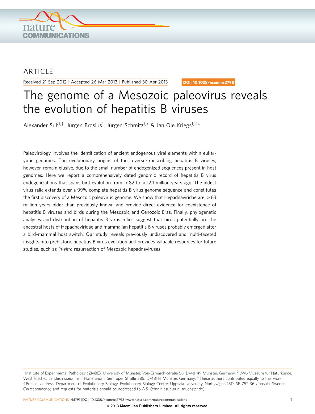 The Genome of a Mesozoic Paleovirus Reveals the Evolution of Hepatitis B Viruses
