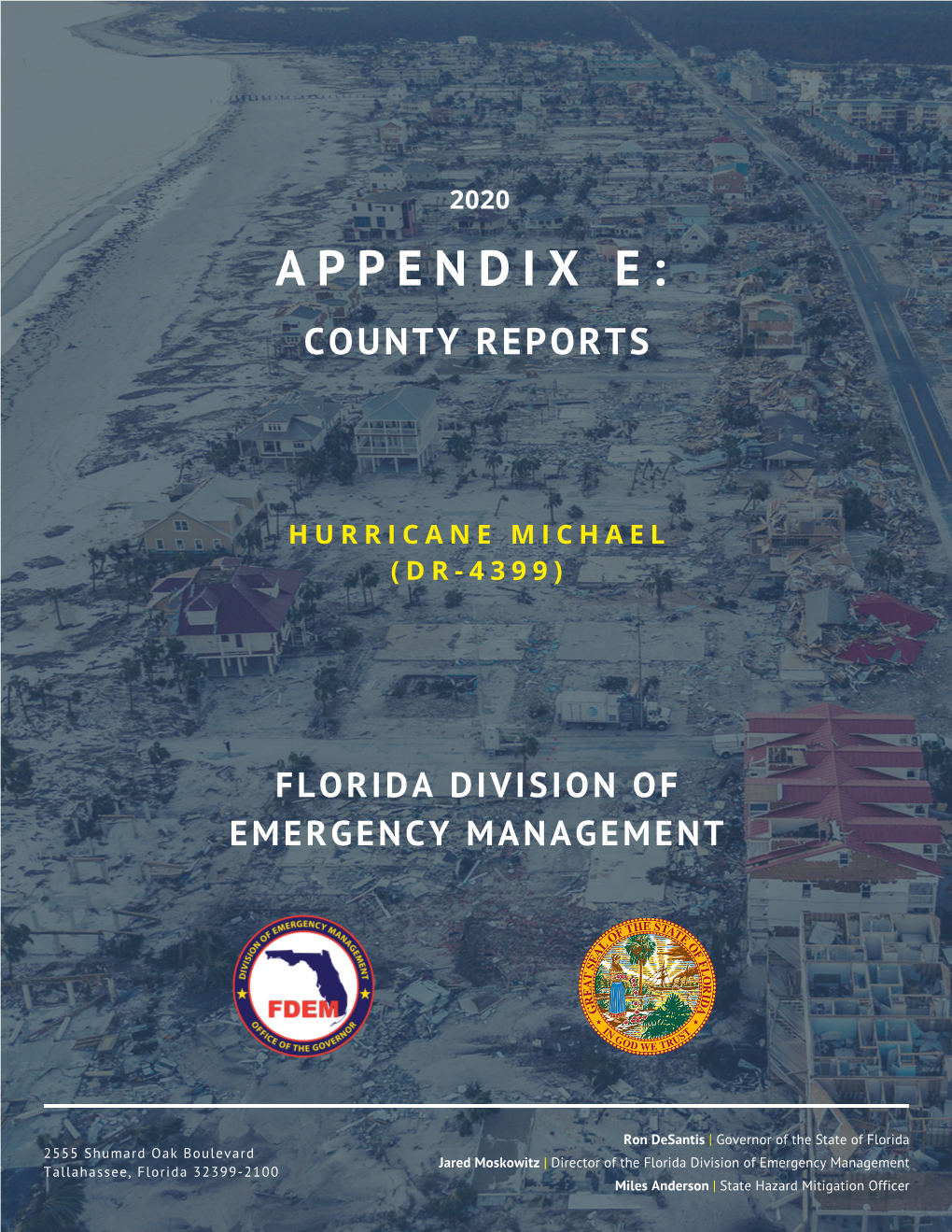 Michael LAA (DR-4399) Appendix E County Reports