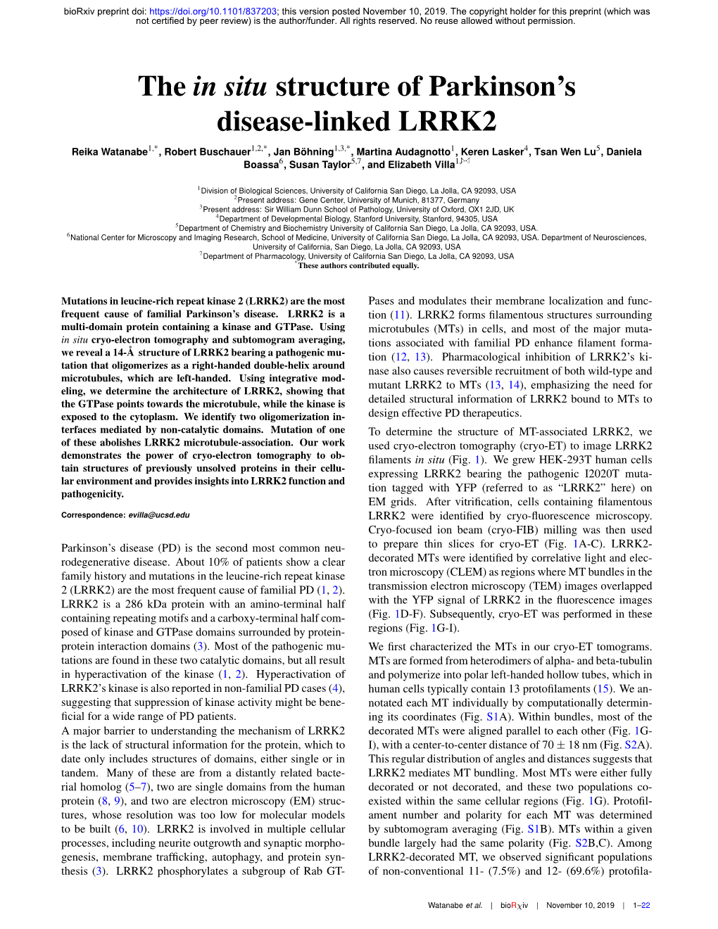 The in Situ Structure of Parkinson's Disease-Linked LRRK2