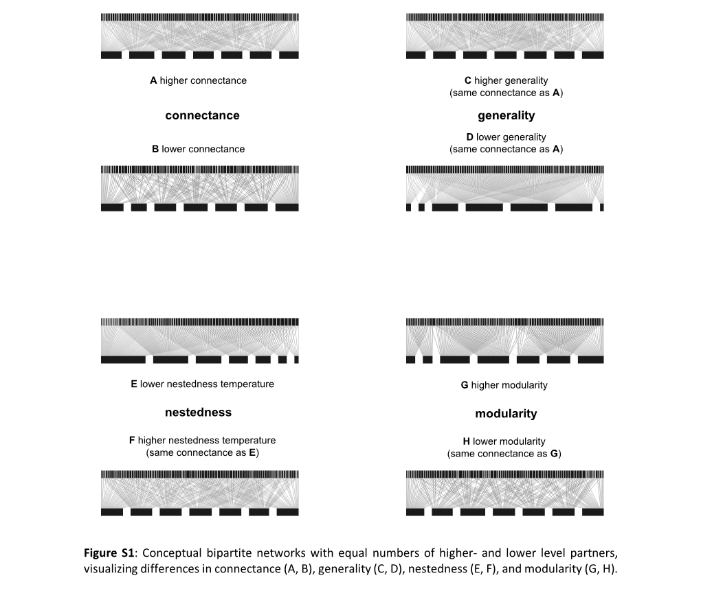 Conceptual Bipartite Networks with Equal Numbers of Higher