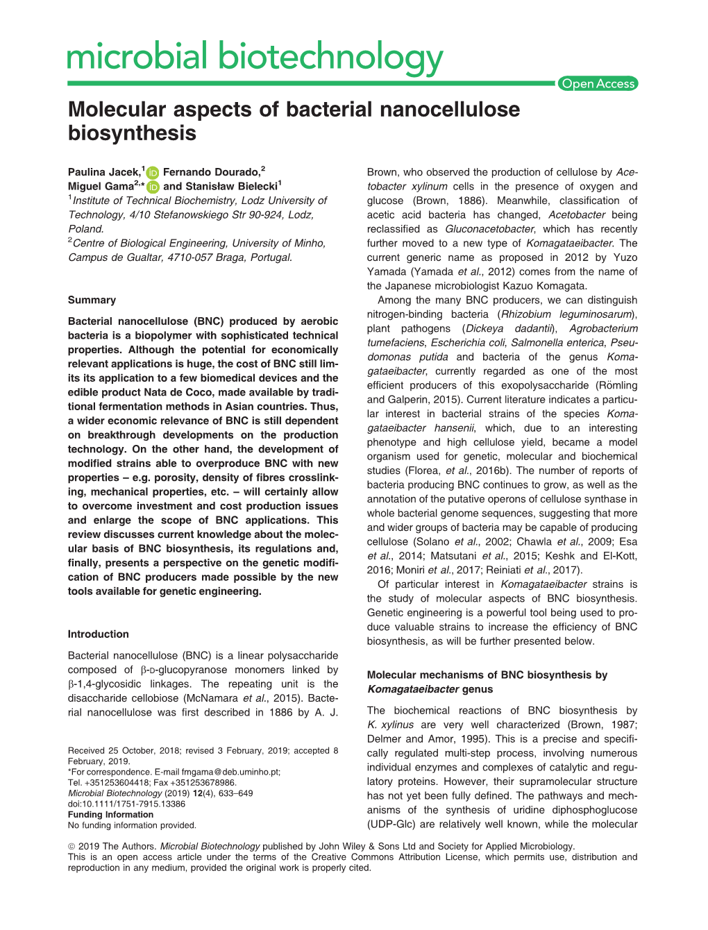 Molecular Aspects of Bacterial Nanocellulose Biosynthesis