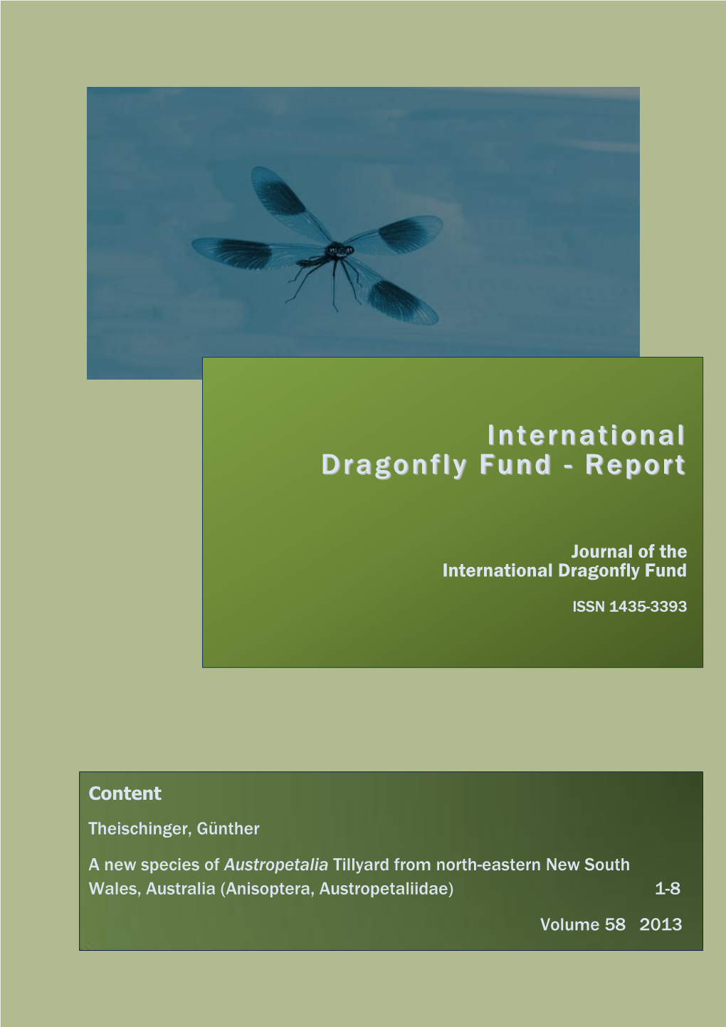 IDF-Report 58 (2013)
