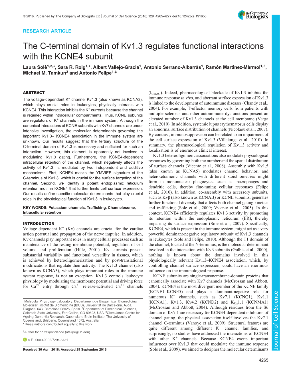 The C-Terminal Domain of Kv1.3 Regulates Functional Interactions with the KCNE4 Subunit Laura Solé1,2,*, Sara R