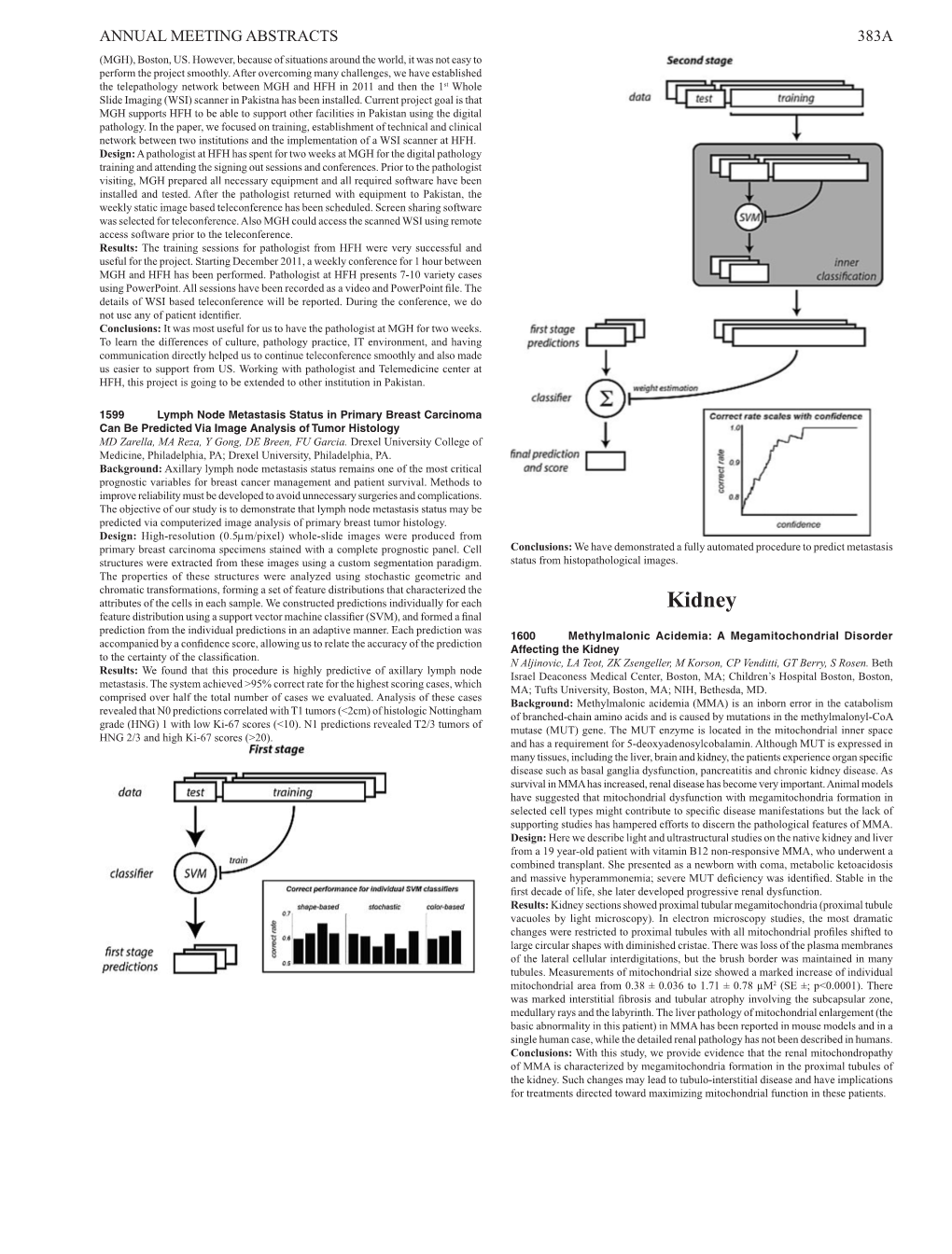 Kidney Feature Distribution Using a Support Vector Machine Classifier (SVM), and Formed a Final Prediction from the Individual Predictions in an Adaptive Manner