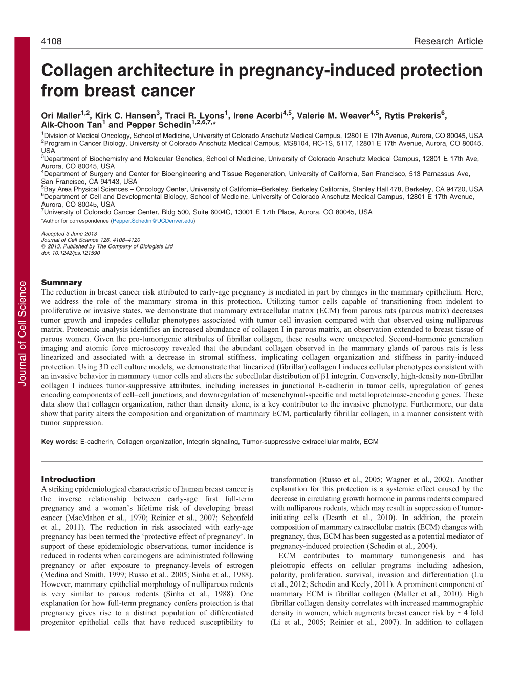 Collagen Architecture in Pregnancy-Induced Protection From