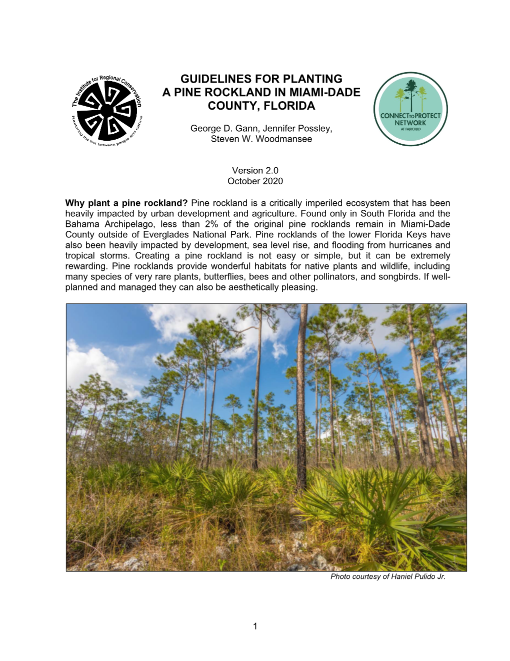 Guidelines for Planting a Pine Rockland in Miami-Dade County, Florida