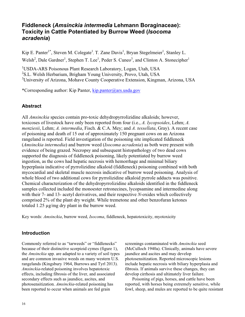 Fiddleneck (Amsinckia Intermedia Lehmann Boraginaceae): Toxicity in Cattle Potentiated by Burrow Weed (Isocoma Acradenia)