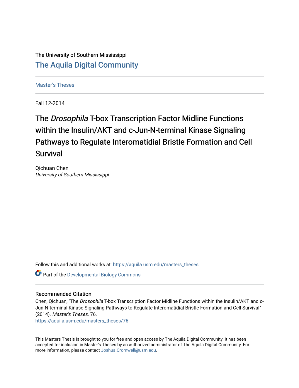 Drosophila</I> T-Box Transcription Factor Midline Functions Within the Insulin/AKT and C-Jun-N-Terminal Kinas