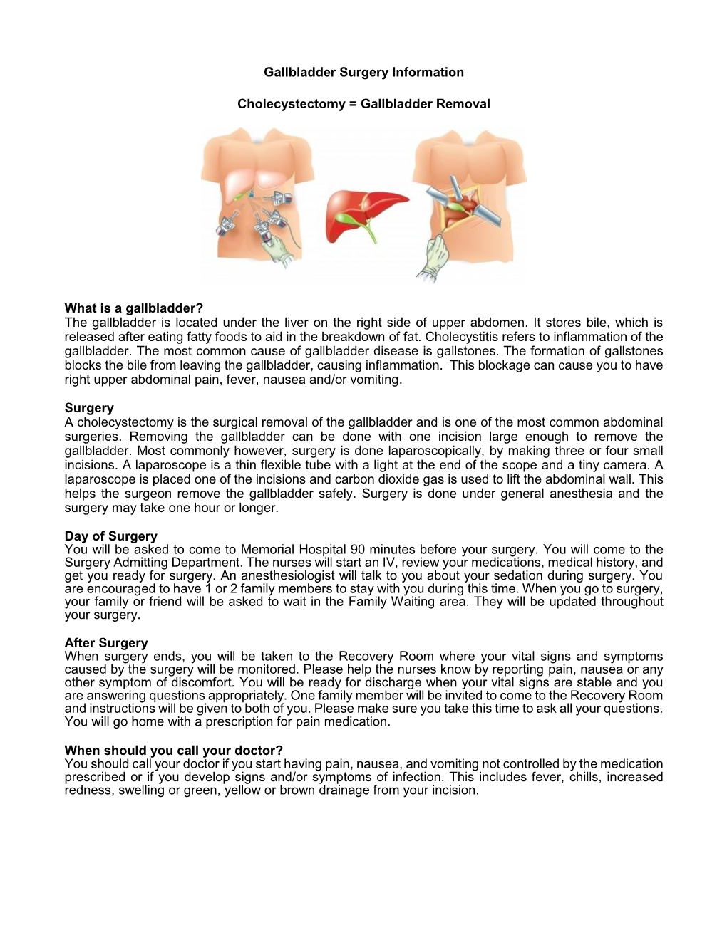 The Gallbladder Is Located Under the Liver on the Right Side of Upper Abdomen