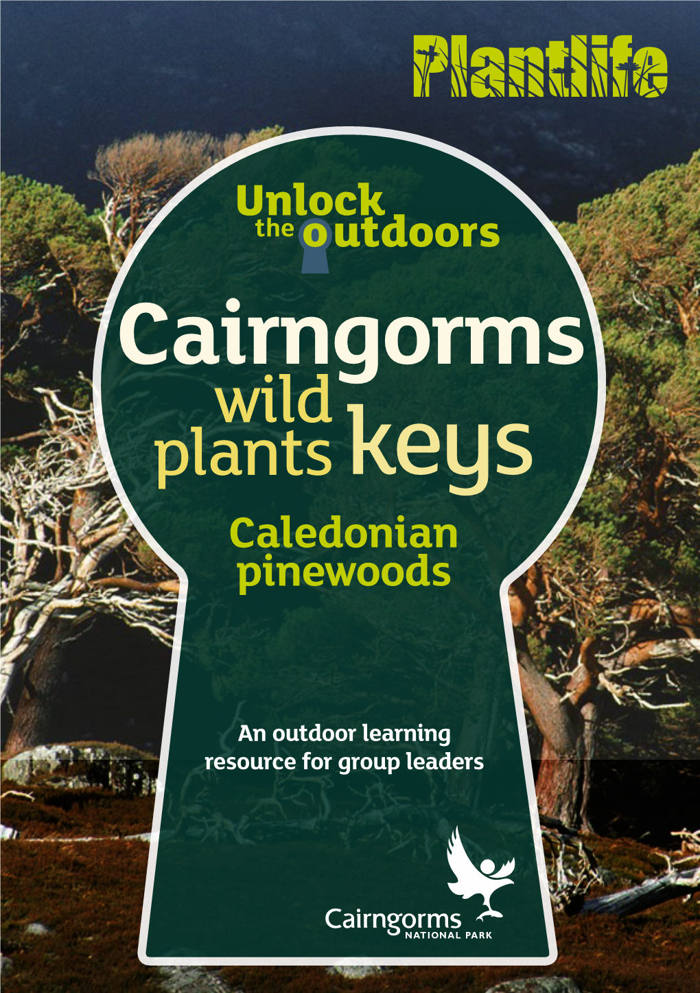 Cairngorms Wild Plants Keys Caledonian Pinewoods