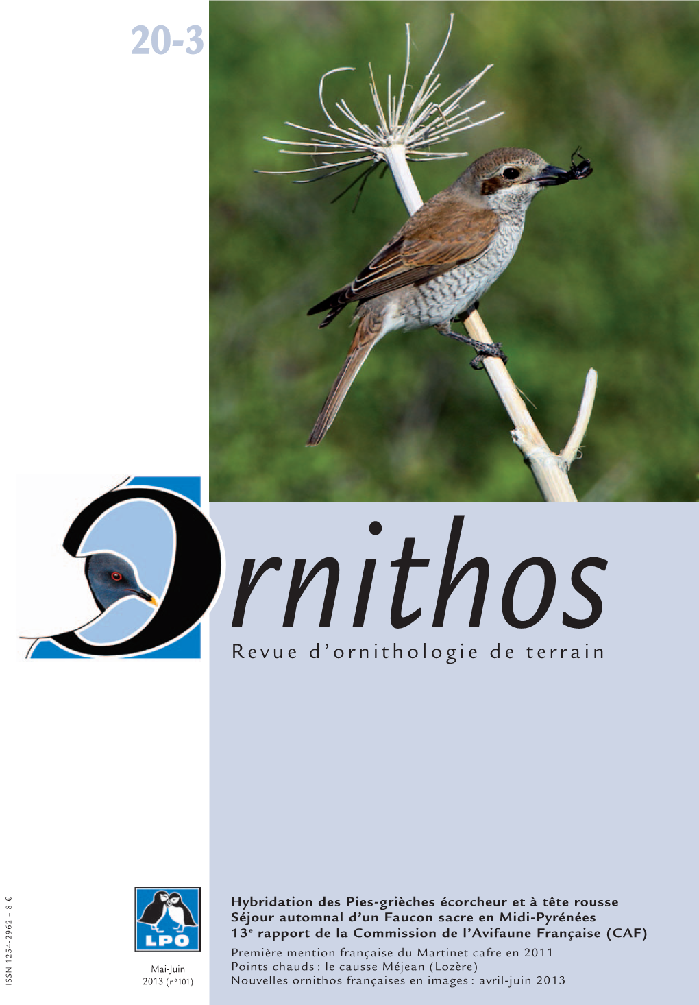 Ornithos Françaises En Images : Avril-Juin 2013