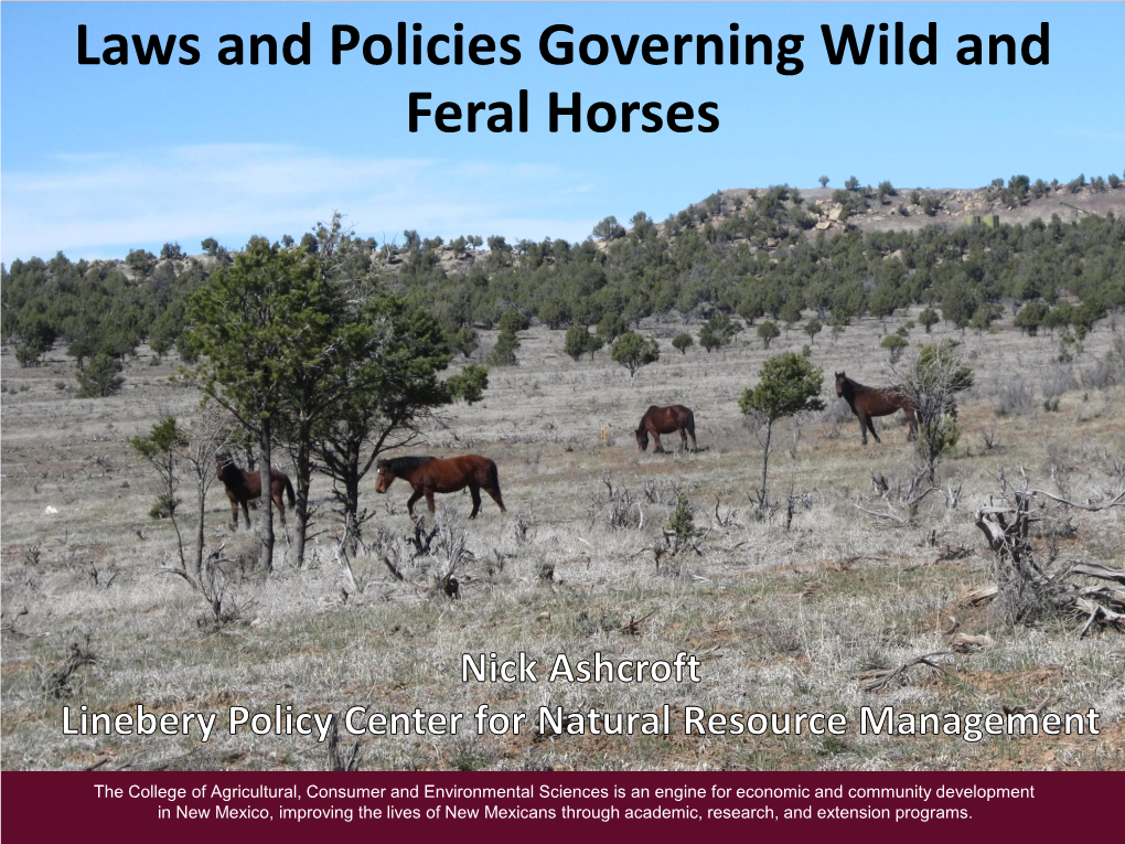 Laws and Policies Governing Wild and Feral Horses