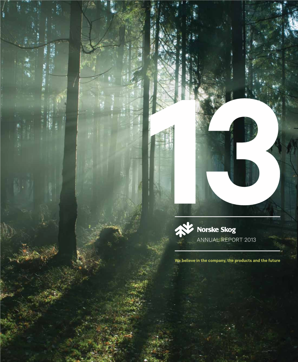 Norske Skog Annual Report 2013