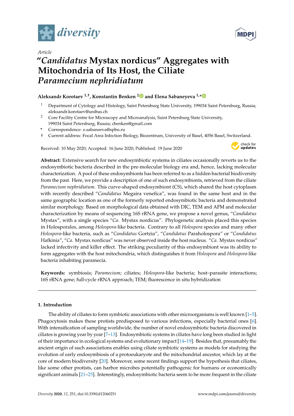 “Candidatus Mystax Nordicus” Aggregates with Mitochondria of Its Host, the Ciliate Paramecium Nephridiatum